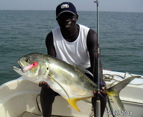 Superbe carangue pche par Mr Bob en Guine Bissau sur un Cx 135