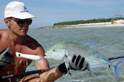 Carangue bleue