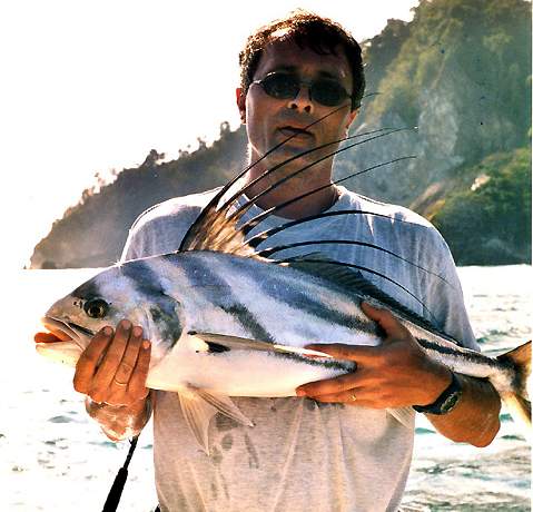 Beau poisson-coq pch par Mr Bruno Bertrand au Costa Rica sur un Cx 135 Orion