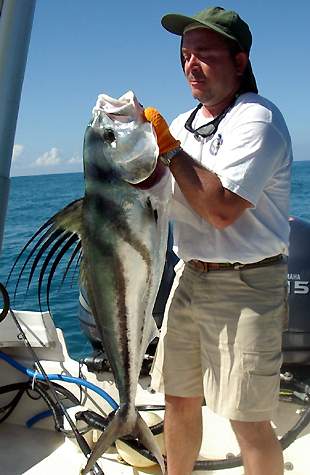 Superbe poisson-coq pch par M. Seraphin au Costa Rica sur un Cx 115 Orion