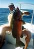 Cubera snapper au lancer