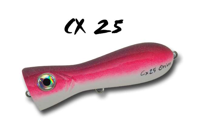 CX 25