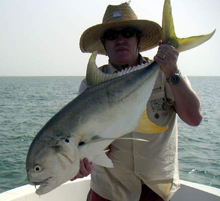 Superbe carangue pche par Mr Bob en Guine Bissau sur un Cx 135